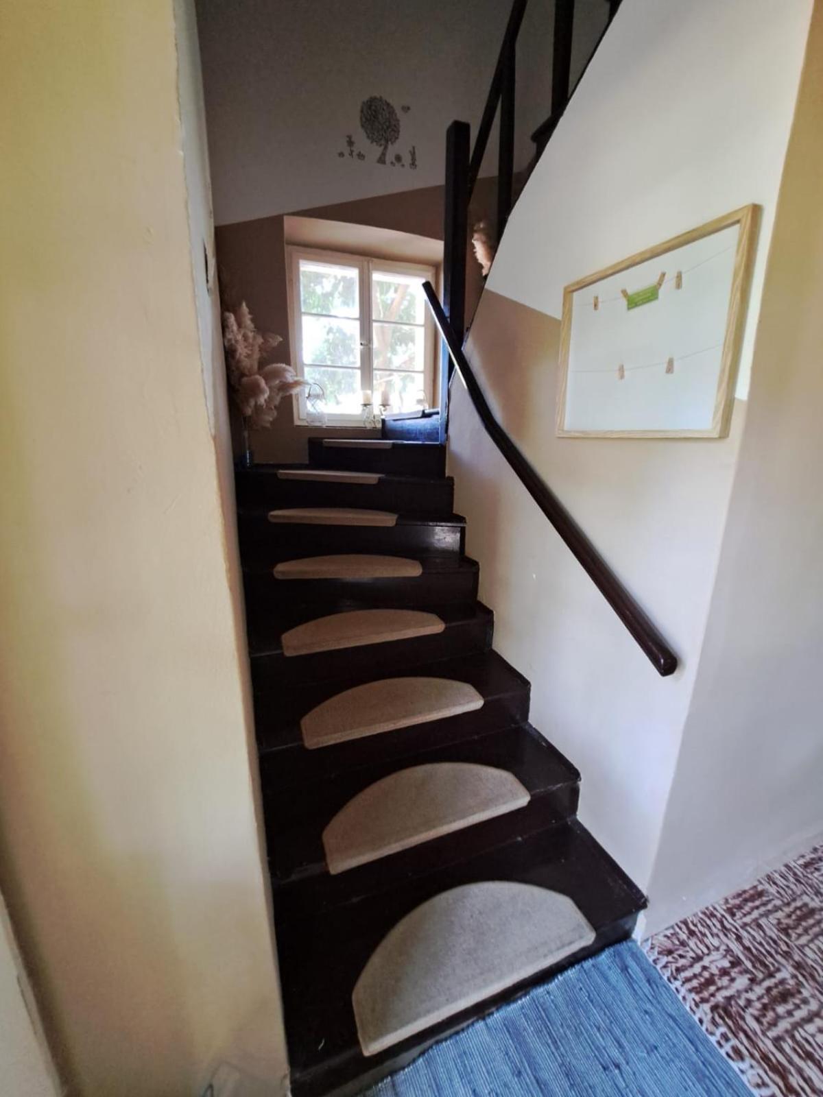 Apartment Dusica